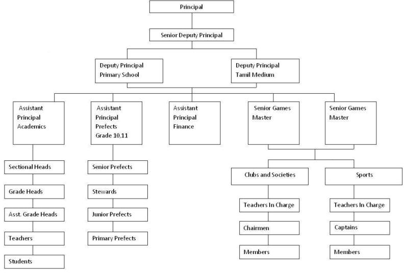 Primary School Staff Structure Chart