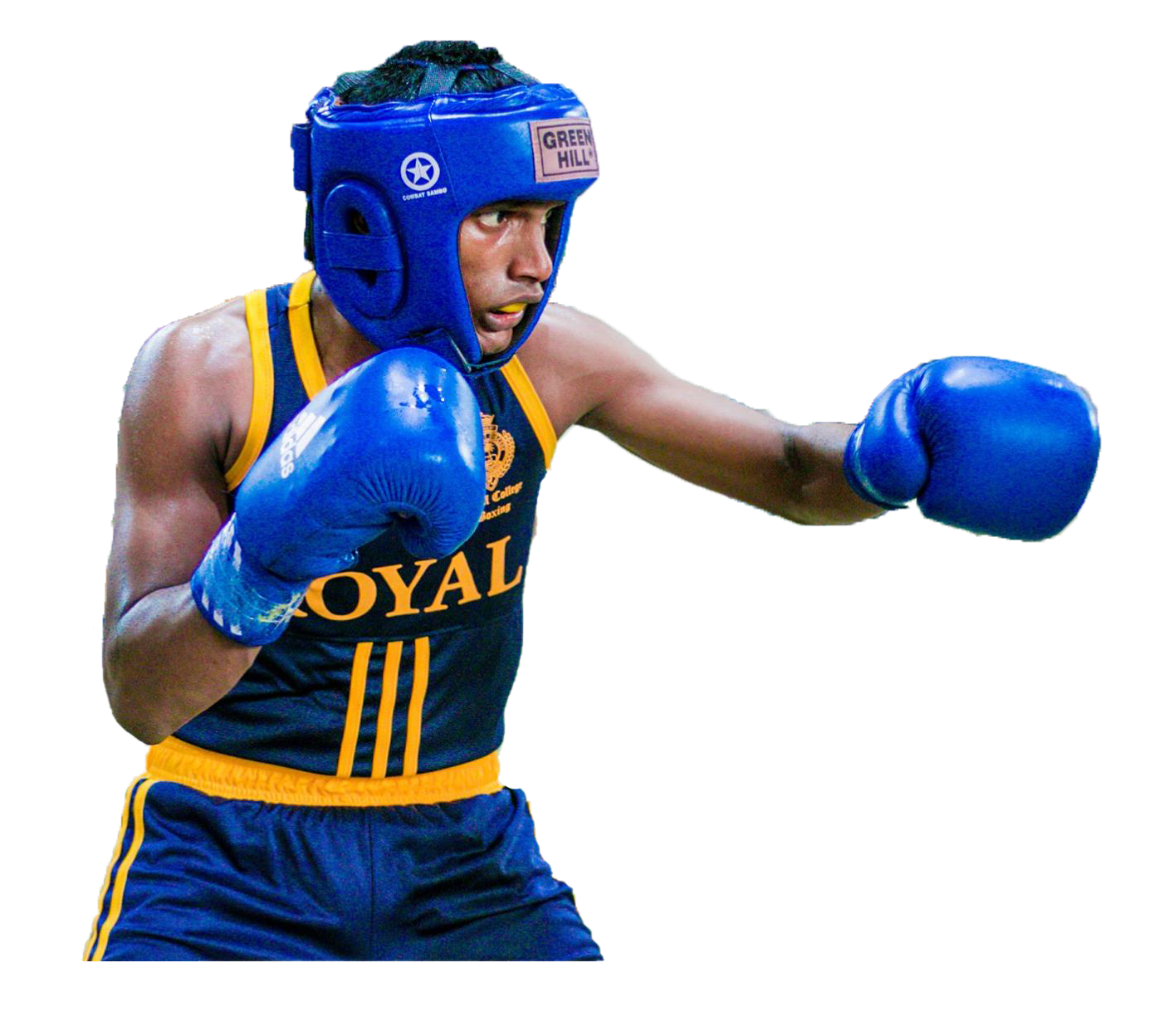 a royal boxer making a punch
