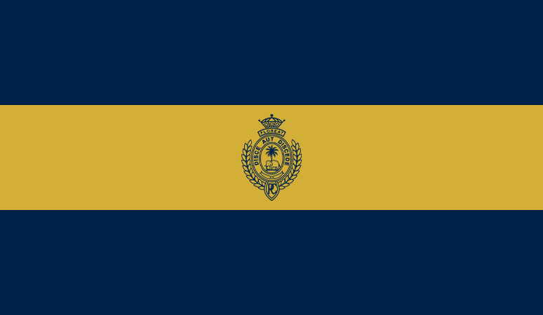 Flag With New Crest - The Royal College