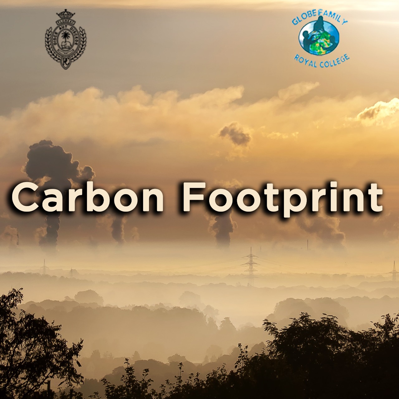 Carbon Footprint - The Royal College