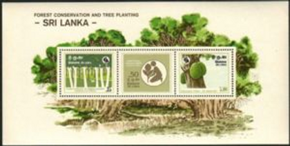 Forest Conservation 2 1 - The Royal College