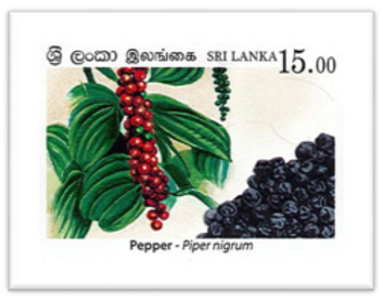 Spices of Sri Lanka 1 Philately - The Royal College