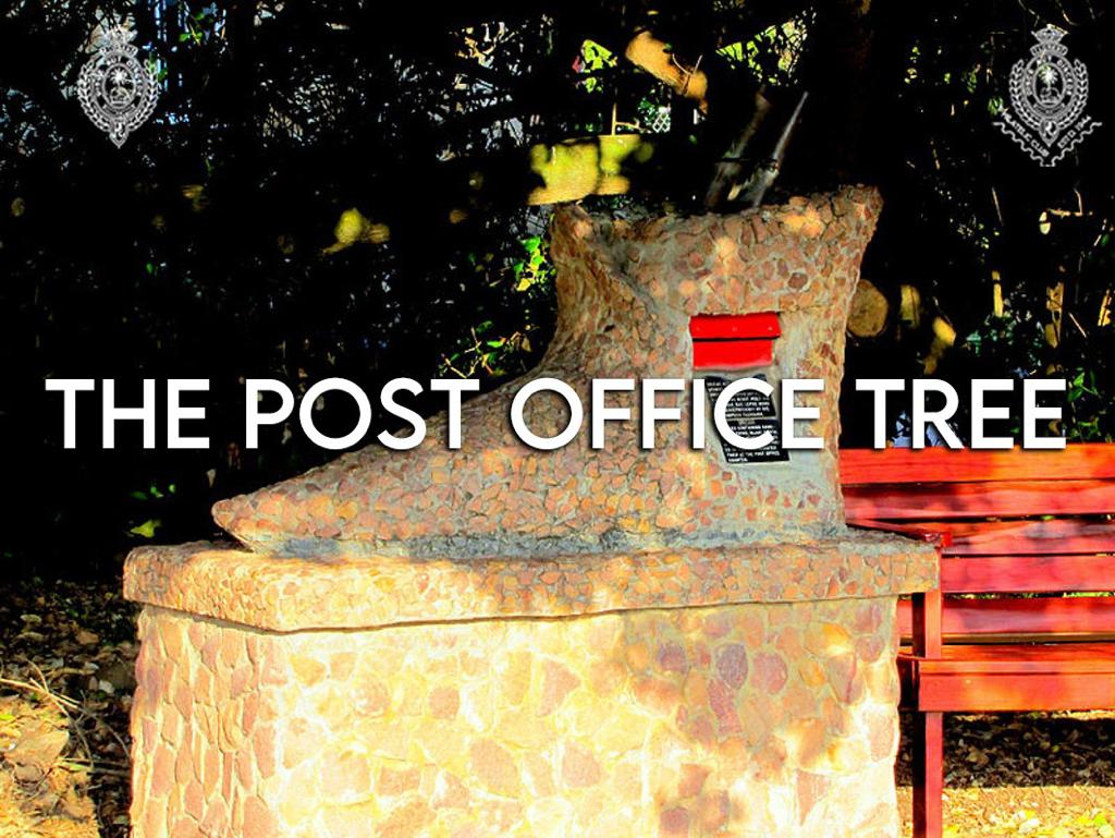 The postal office tree philatelic - The Royal College